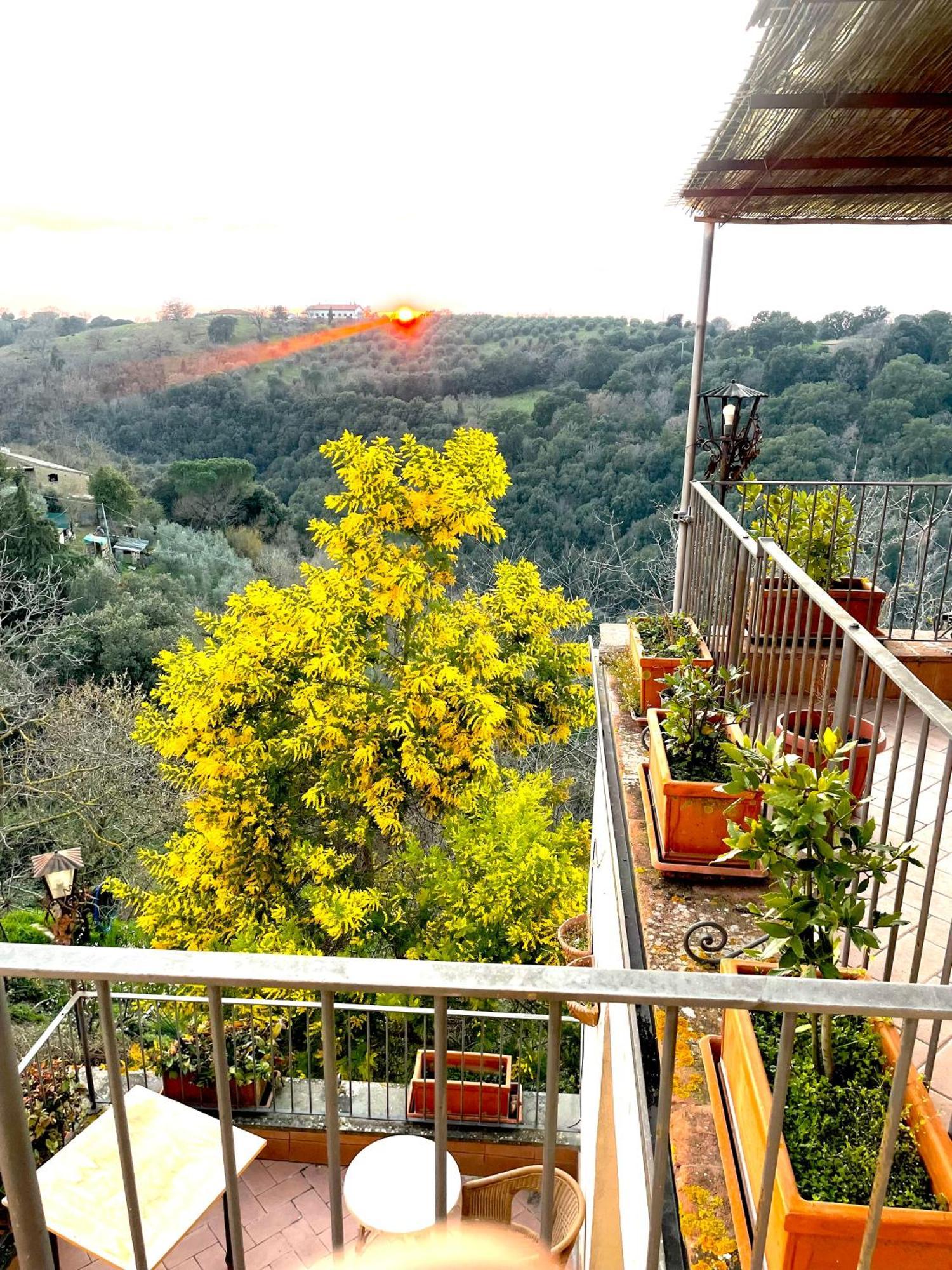 Ghigo La Locanda Di Torquato Montorgiali Zewnętrze zdjęcie